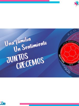 TOALLA MICROFIBRA 160 cm X 50 cm