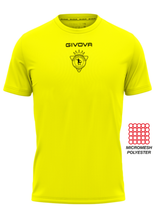CAMISETA DE ENTRENAMIENTO AD ORCASITAS